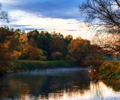 Autumn Morning