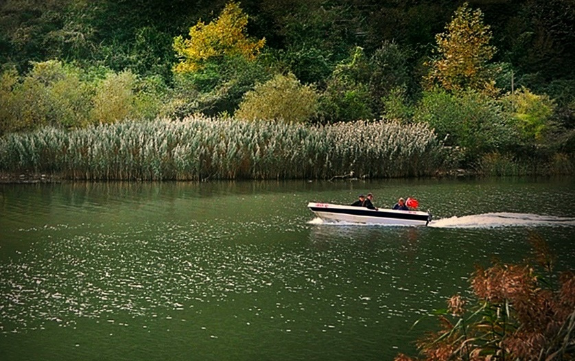 BARTIN IRMAĞI