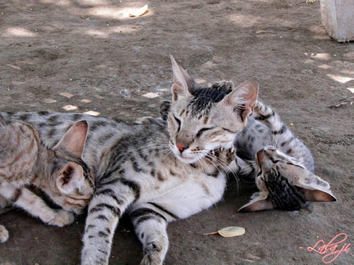 Play time with Mom ❤️