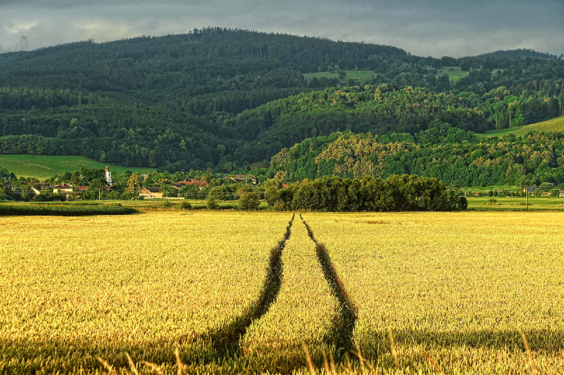 Rural landscape