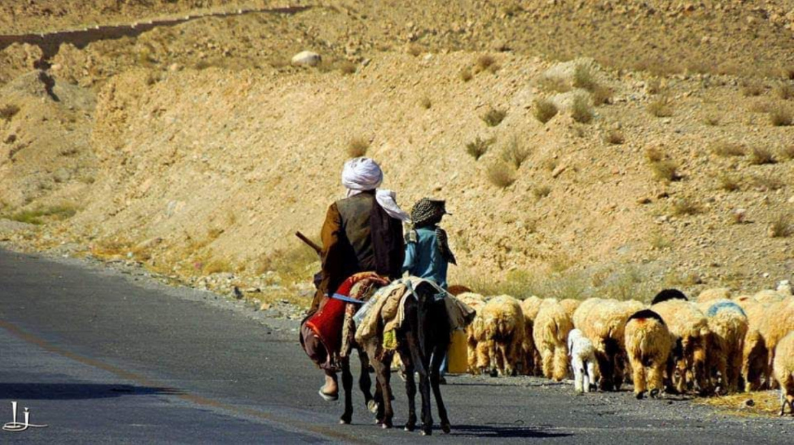 Baloch Nomad