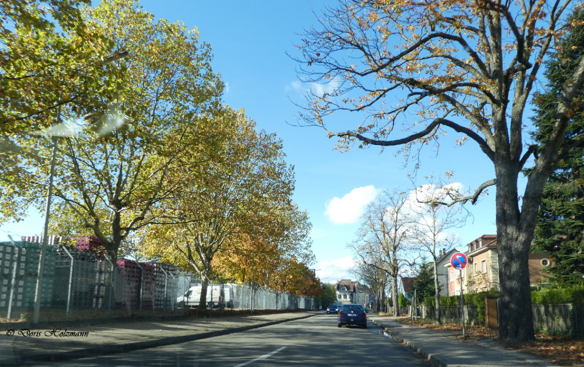 Street in Karlsruhe / Germany