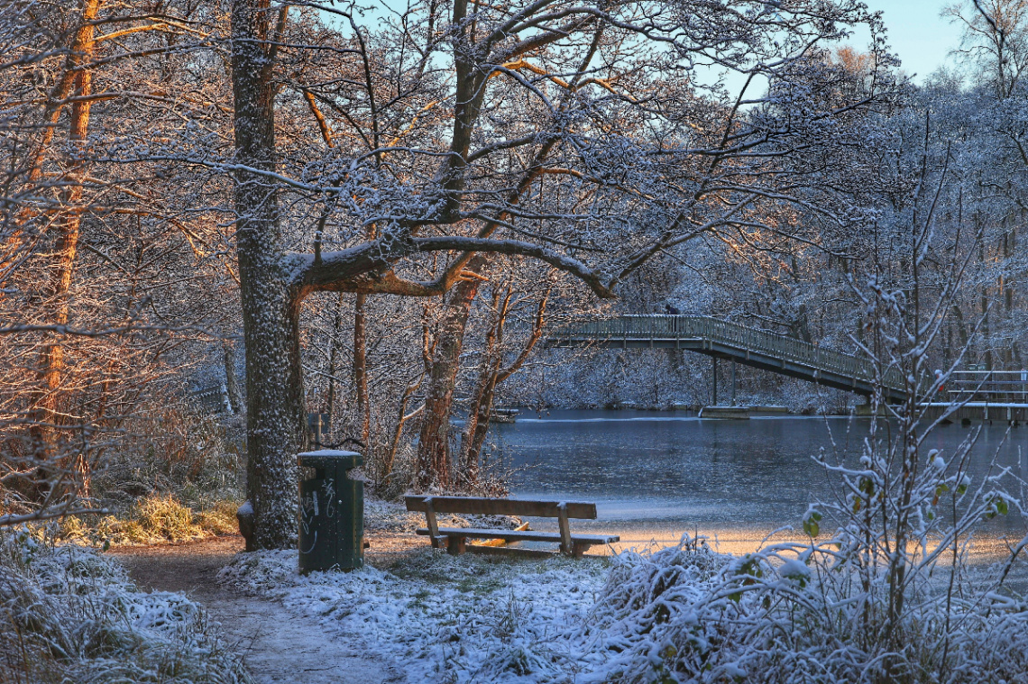 Efter snevejr i Lyngby ved København  - Dec.2022.