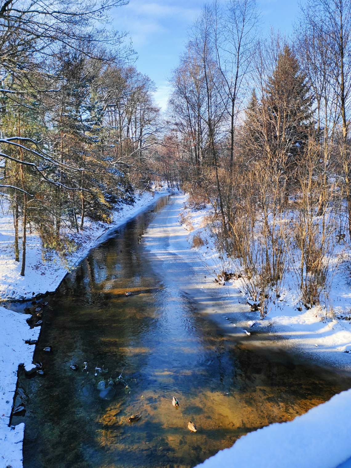 WINTER STREAM