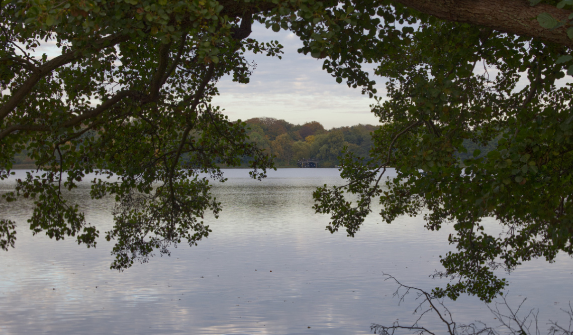 Lyngby Sø