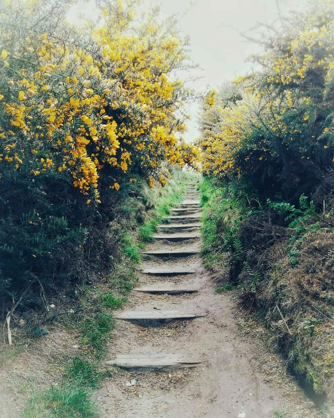 STAIRS TO NOWHERE