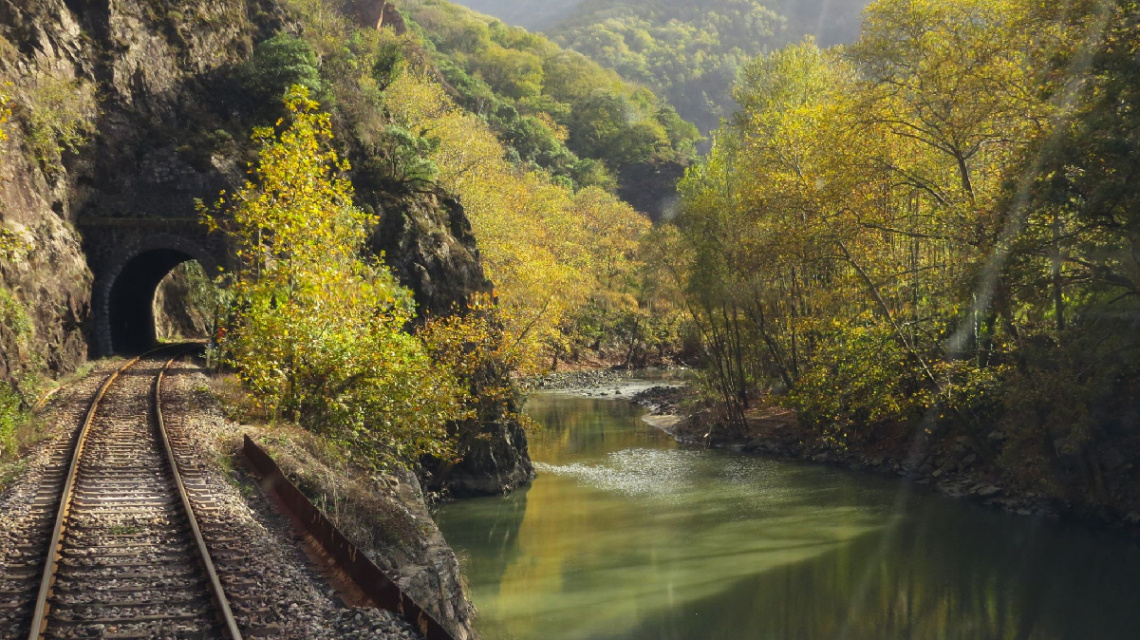 Trenin Arkasından Yenice Ormanları