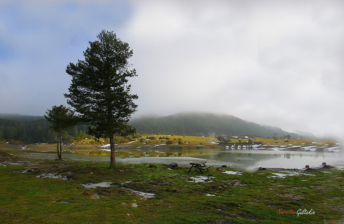 DOĞADAN