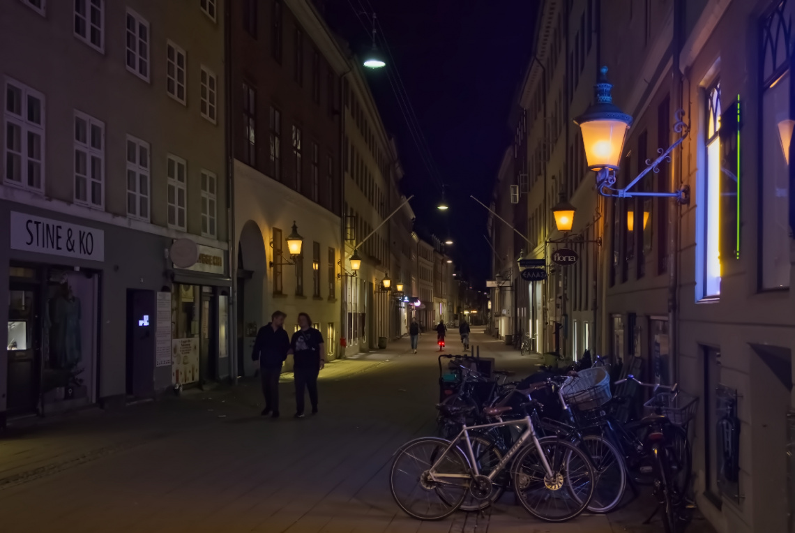 Fiolstræde - Indre By - København 2024.