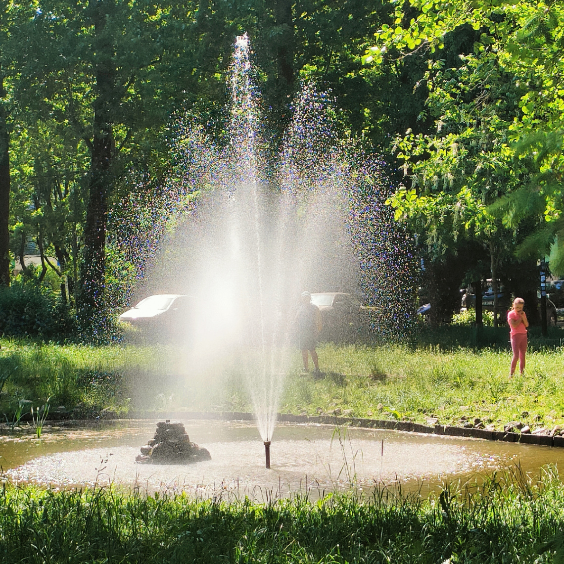 IN THE PARK