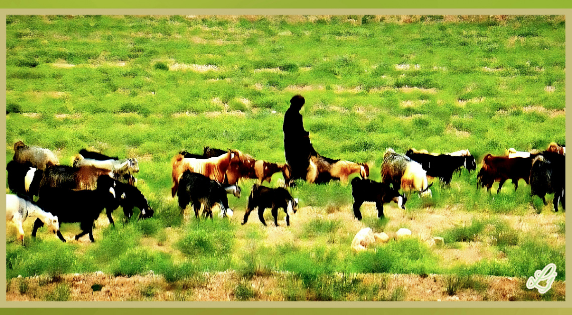 Shepherd at Chiltan Valley Quetta ⚜⚜