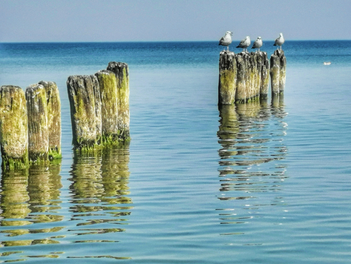 AT THE BALTIC SEA