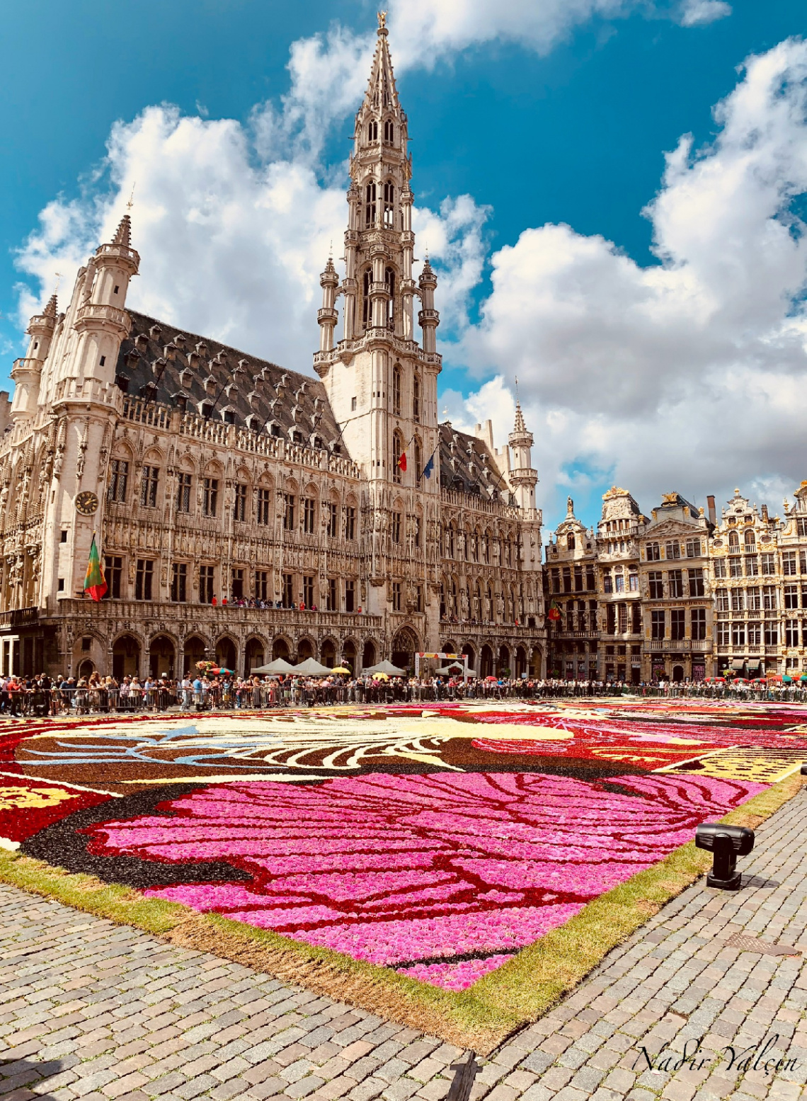 Brussels Flower Carpet 2024