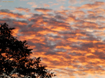 Sunset , Karlsruhe / Germany