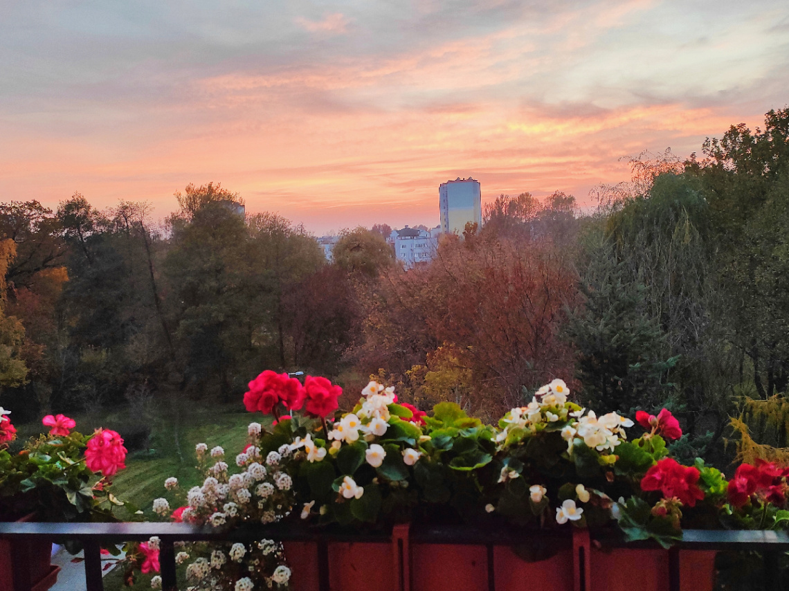 BEAUTIFUL AUTUMN DUSK