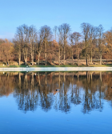 REFLECTIONS IN WATER