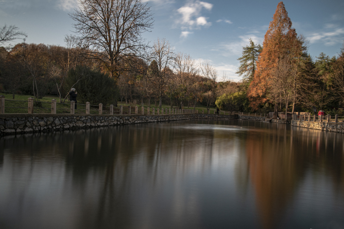 Atatürk Arboretum