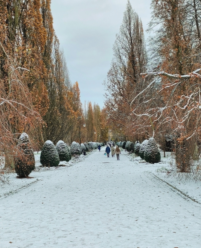 AUTUMN PARK IN SNOW