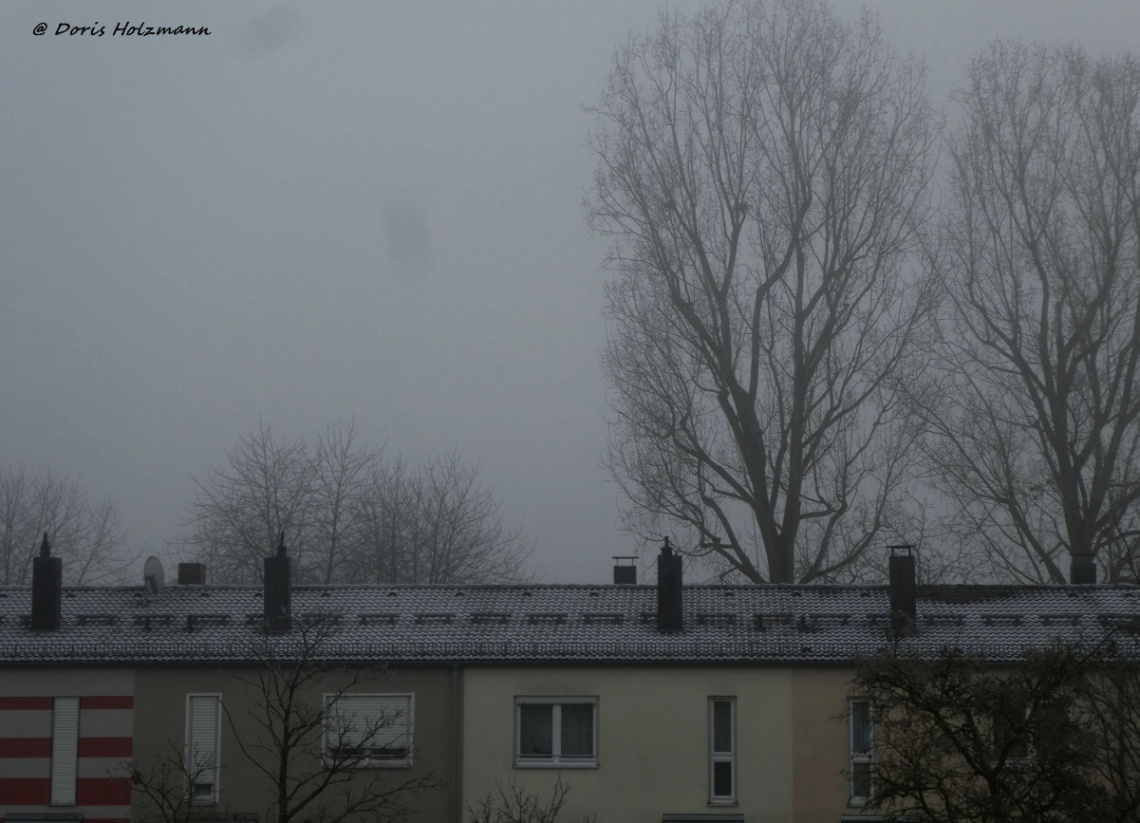 today morning fog , Karlsruhe / Germany