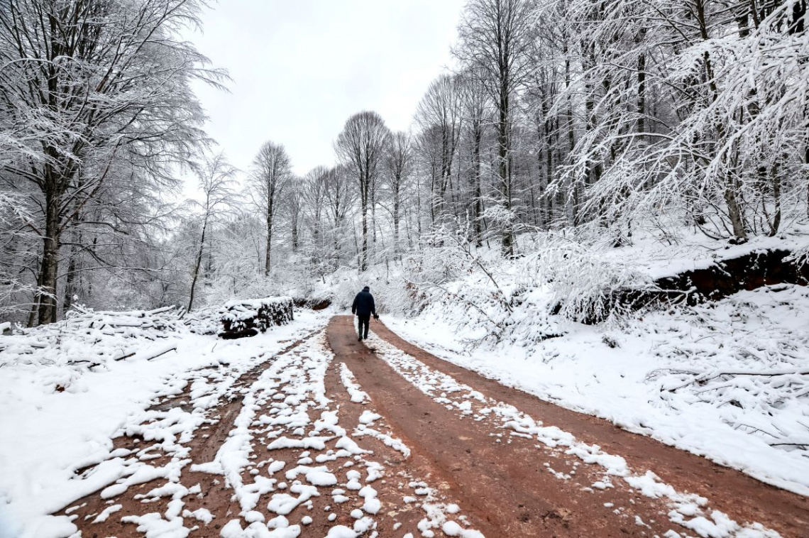 YOL / CU.......