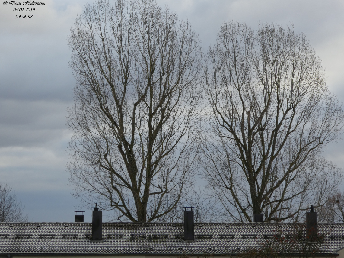 View from the window, Karlsruhe / Germany