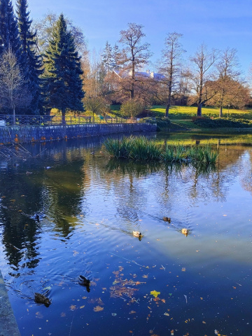 AT THE POND