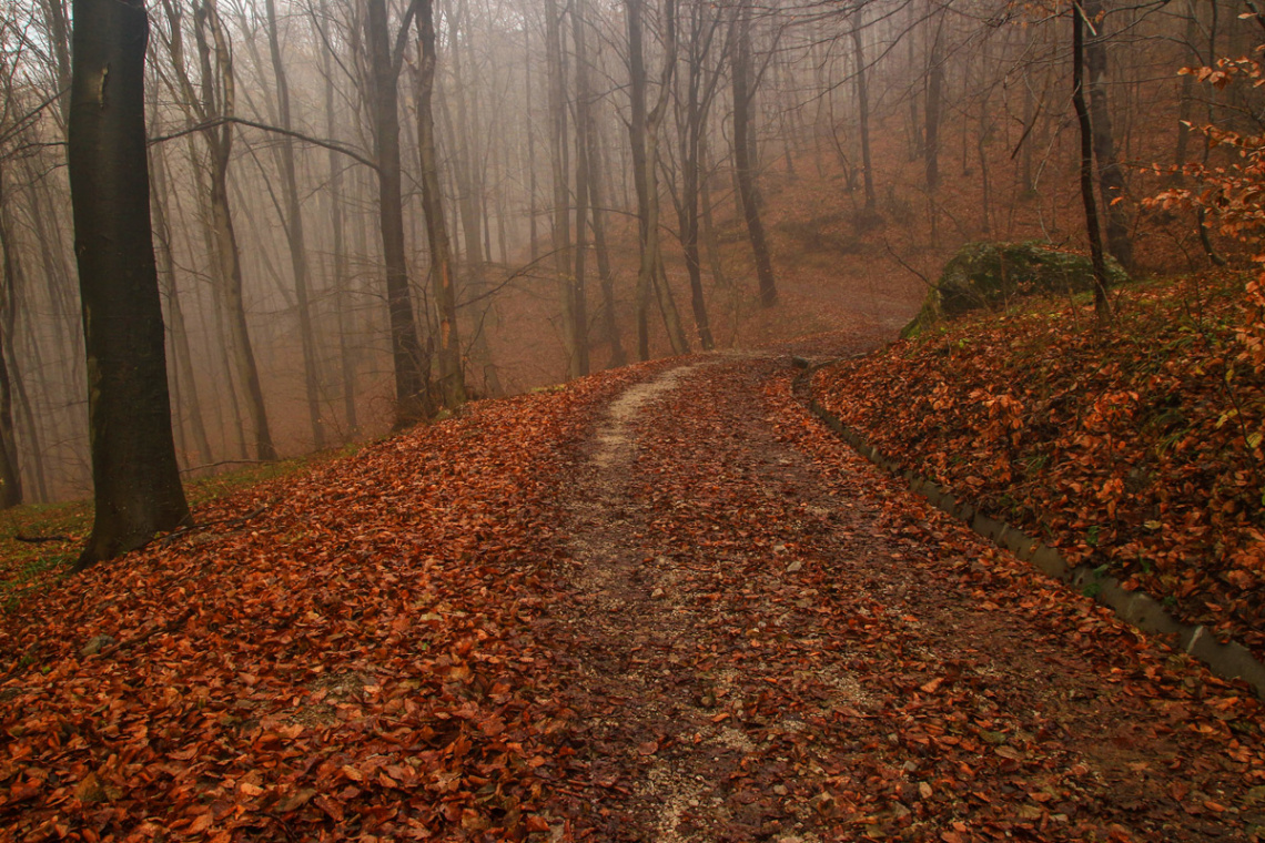 red path