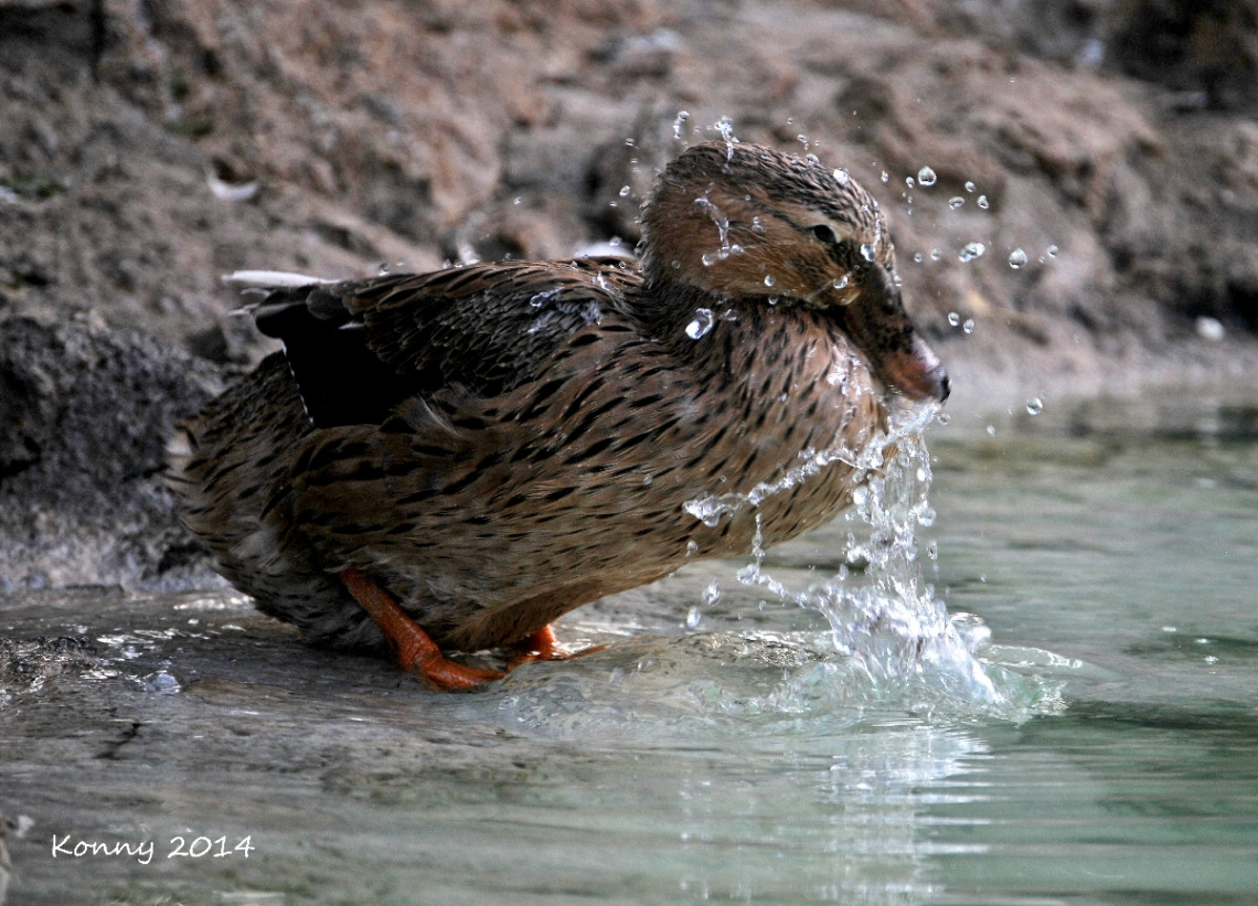 taking a bath .. :))