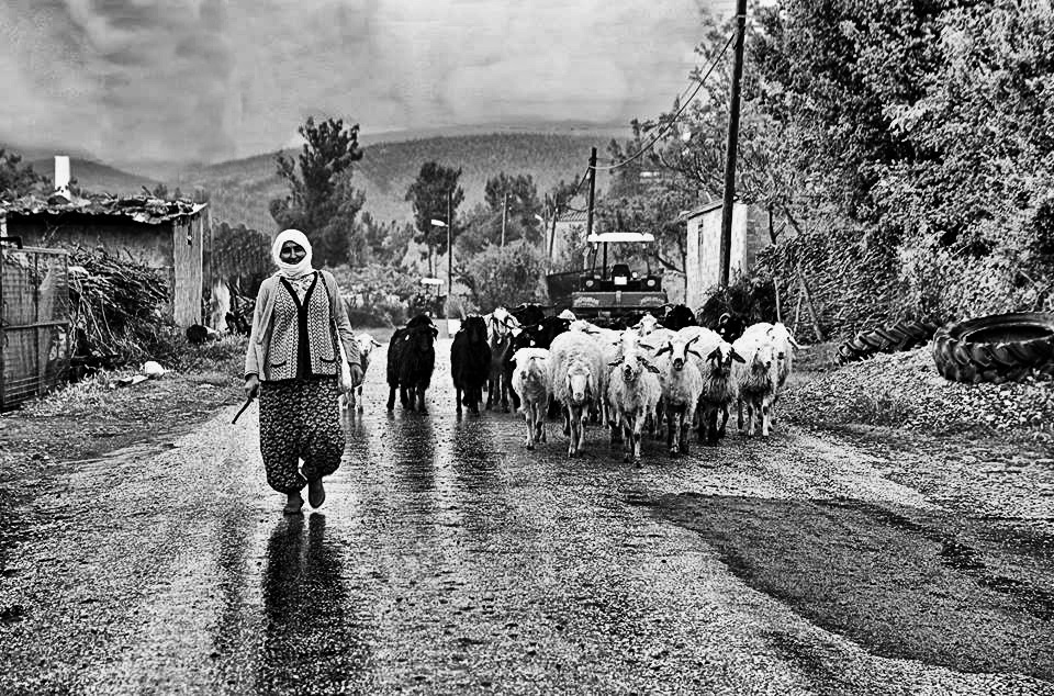 yolla çıkarken..