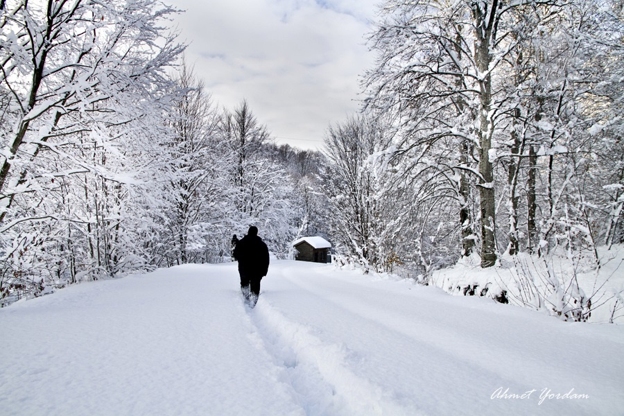 Kış-Winter