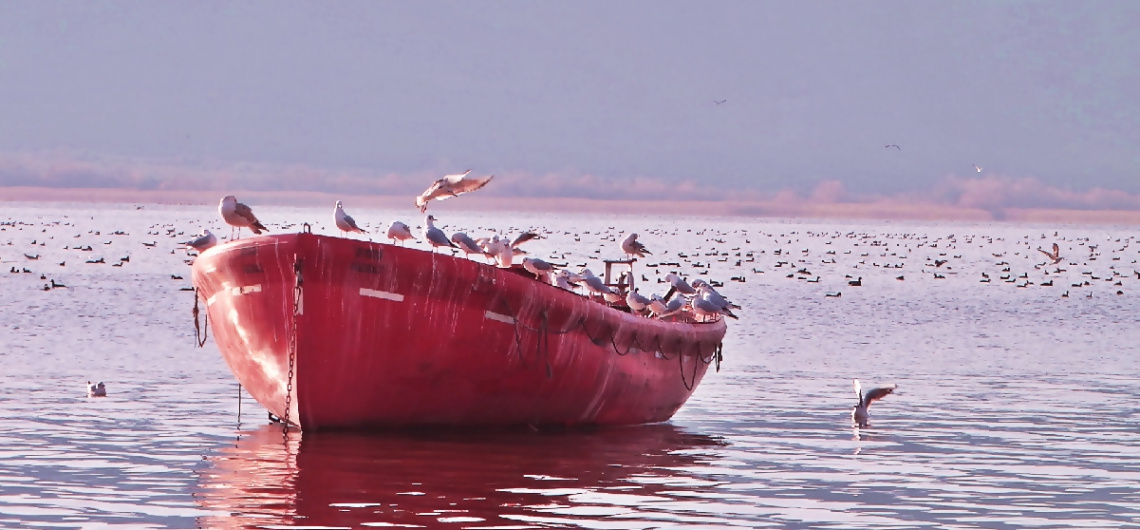 YOLCU KALMASIN AKSARAY-AKSARAY