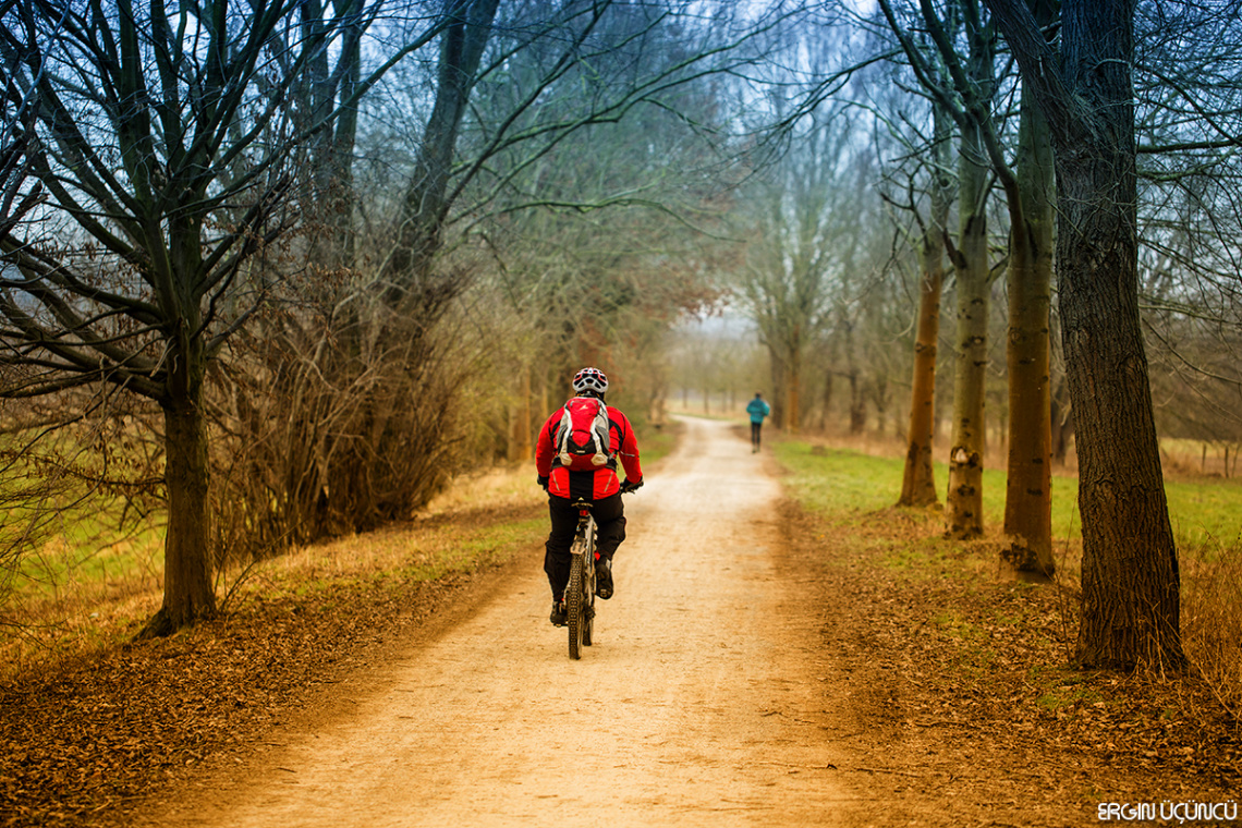 Cycling