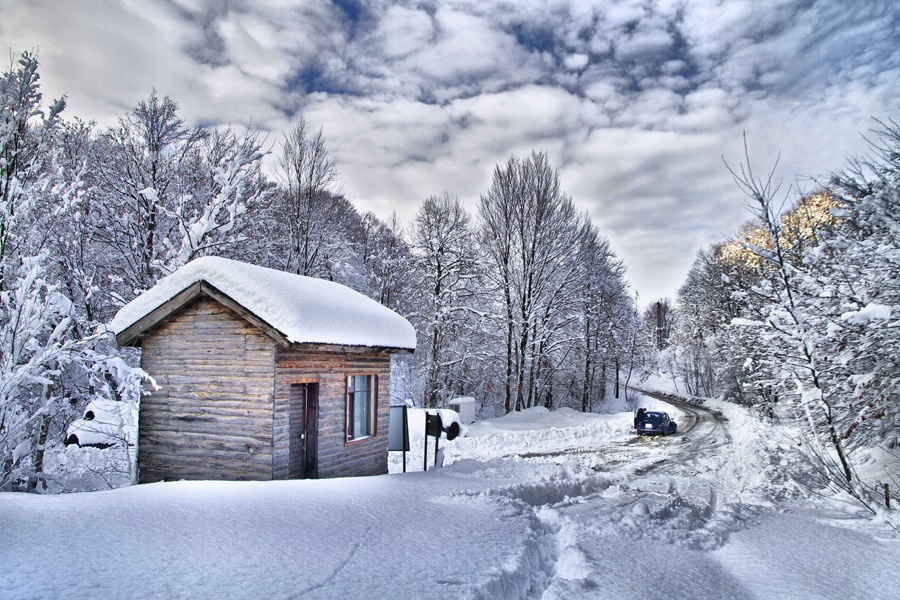 Kış-Winter