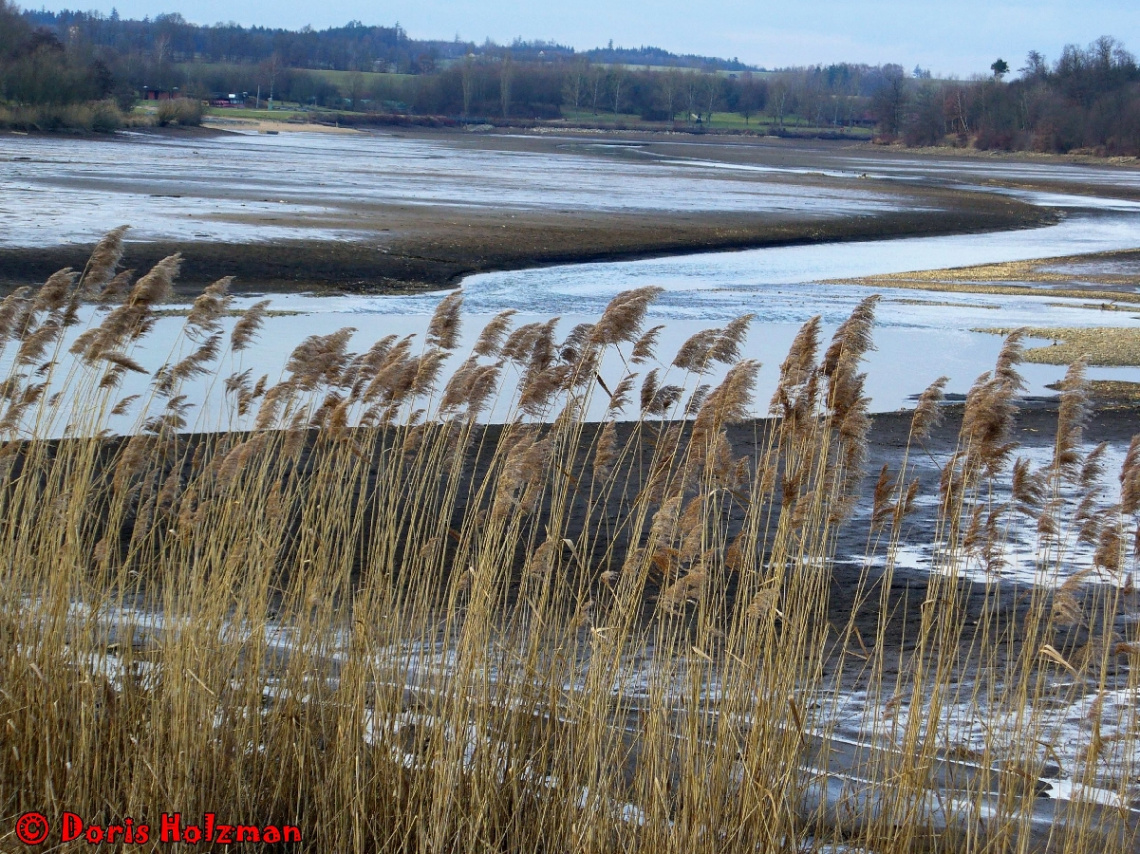 Bucher Stausee