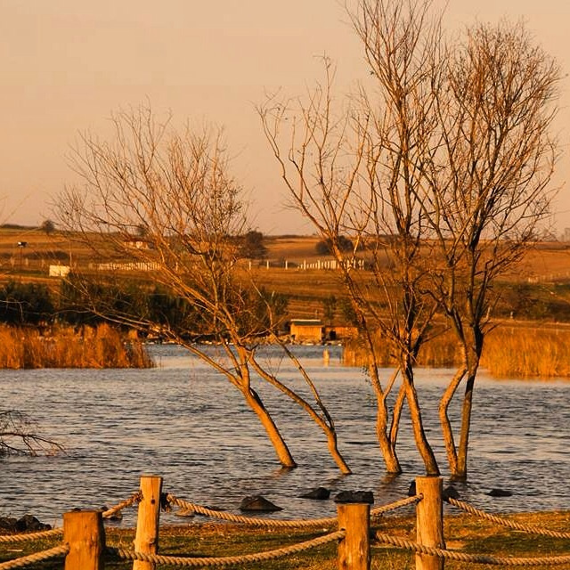 Doğadan (Çorlu Gölbaşı parkı)