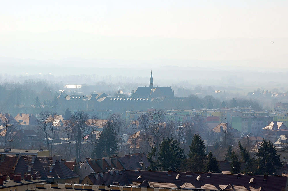 Foggy morning