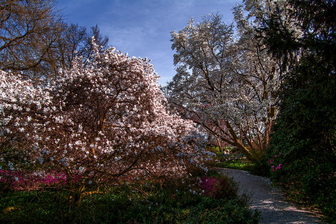 Berggarten Herrenhausen Hanover