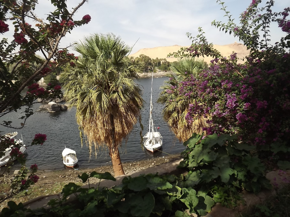 Egypt - Aswan - sailboats