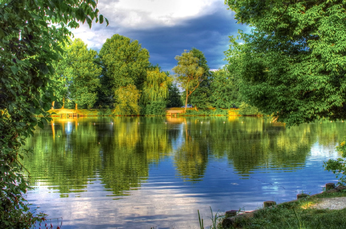 On the  lake