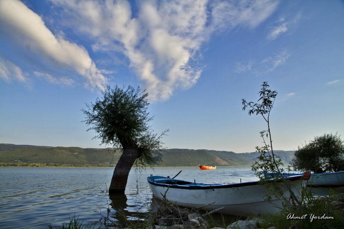 Gölyazı; Bursa