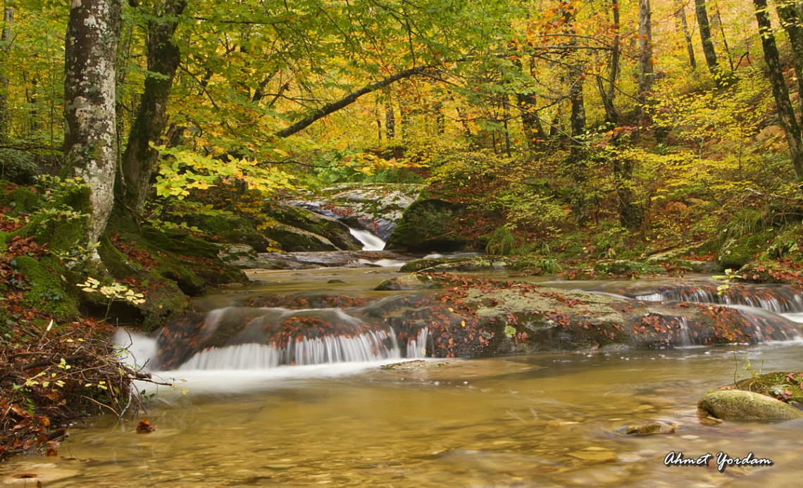 Çataldağ, Mustafakemalpaşa, Bursa