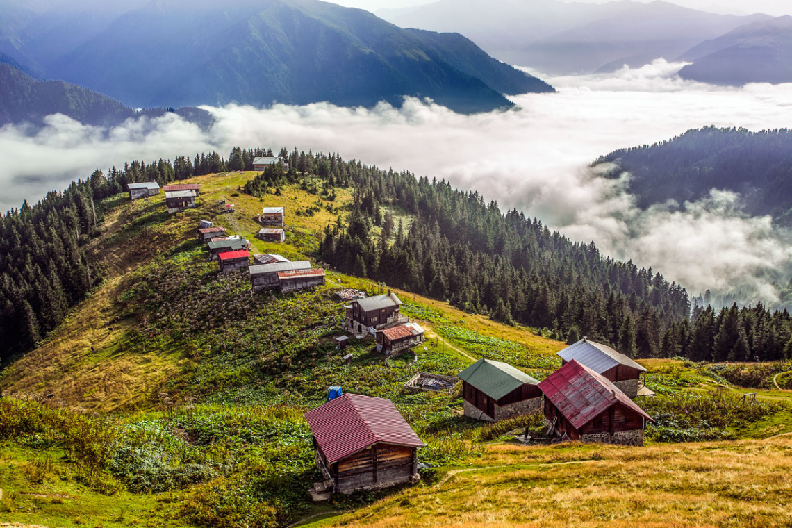 Pokut/Çamlıhemşin