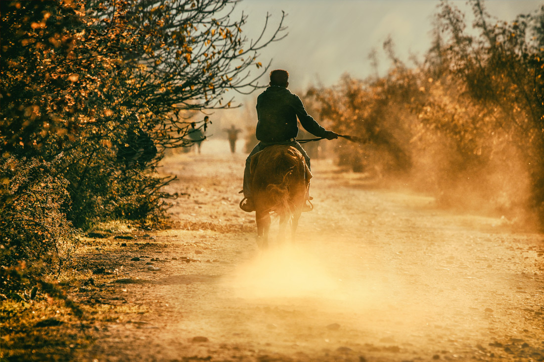 Horse riding