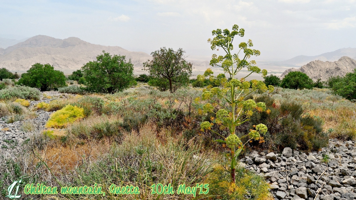 our Chiltan valley