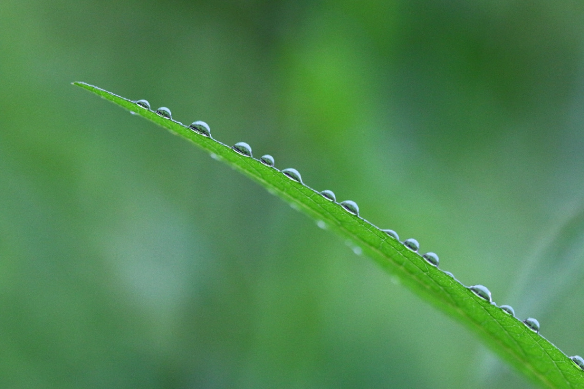 waterdrops