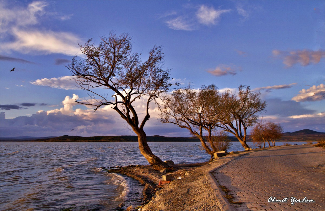 Gölyazı