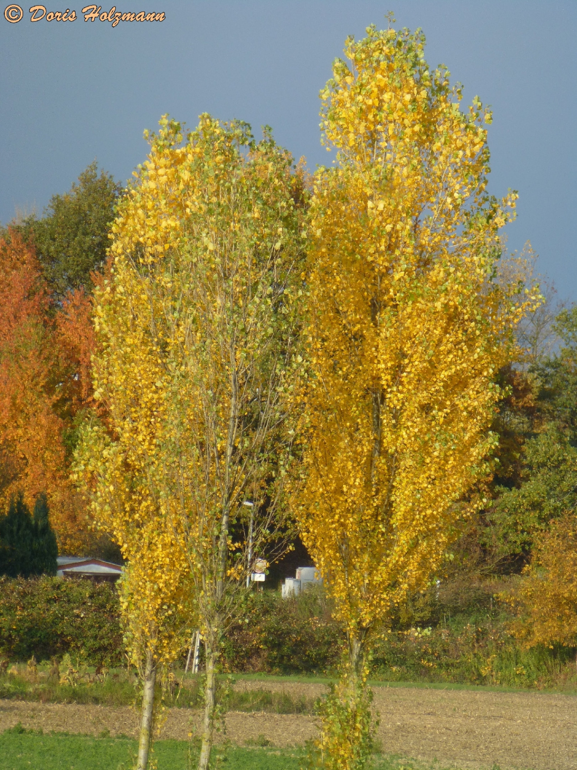 Herbstfarben