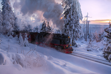  Harz Narrow Gauge Railways