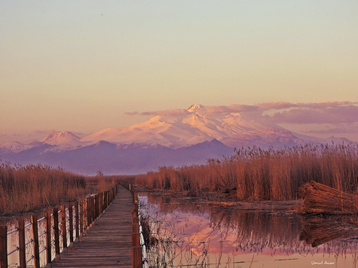 Sazlıktan Yansıma Erciyes Dağı