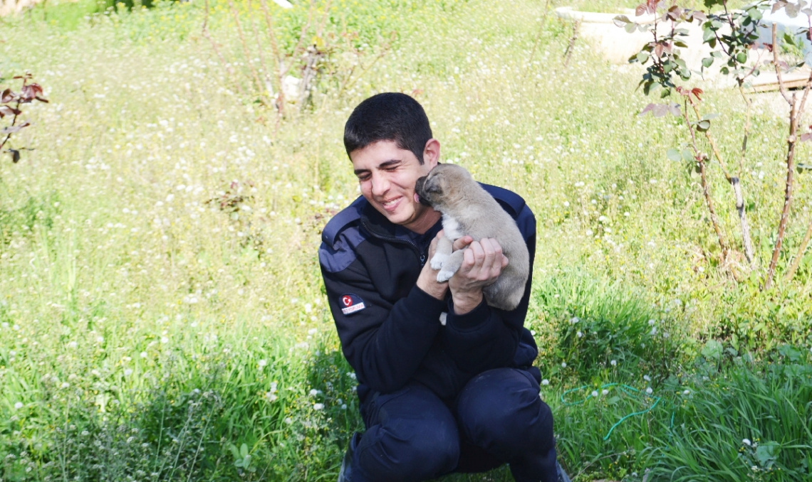 Pamir'den Küçük Islak Öpücük :)